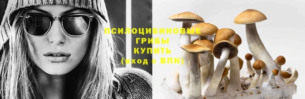 дистиллят марихуана Приозерск